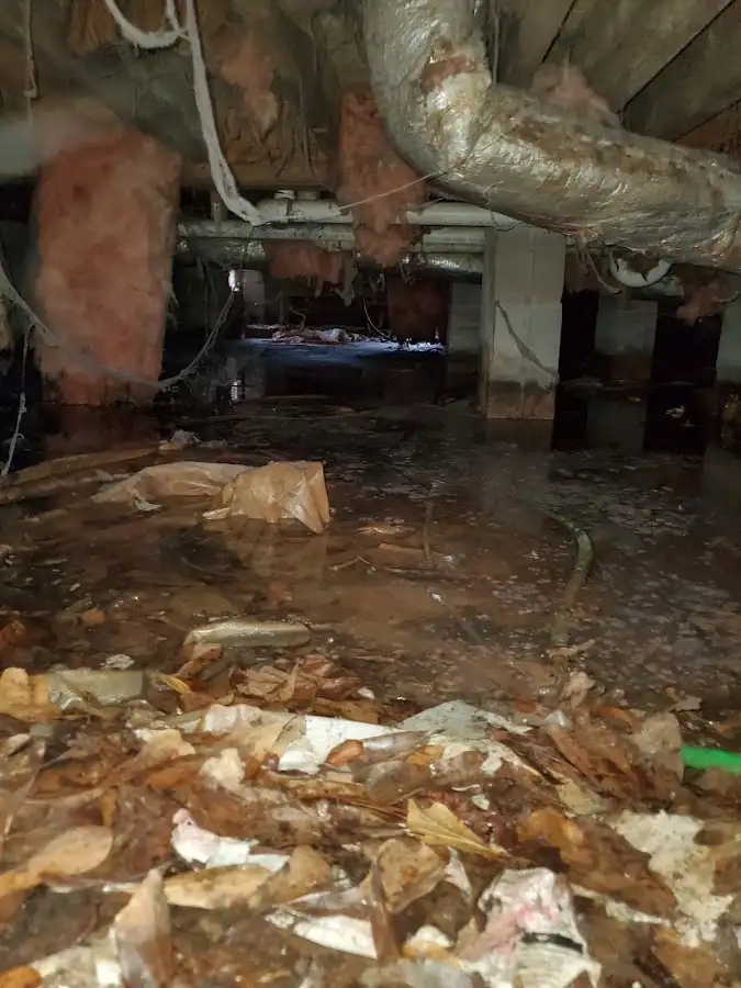Crawl space flood assessment for Leak Detection & Repair in Indian Wells